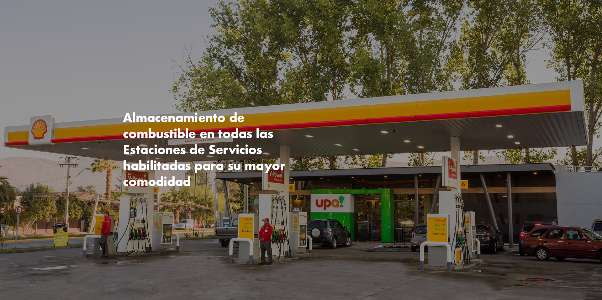 vitrina-SCS-2_2024-01-09_121246